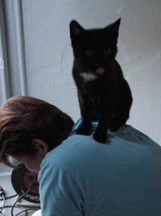 15.08.2007-W�hrend der E.-Installation besuchte uns der Nachbar Kater FINDUS!