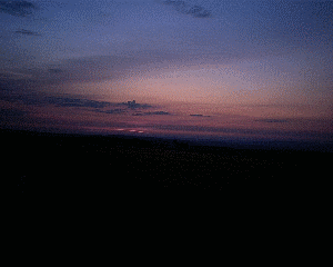 observed at Bernsgruen, in the near of Plauen /Vogtland